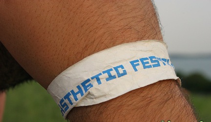 Letný Easthetic festival zverejnil prvé dve kapely
