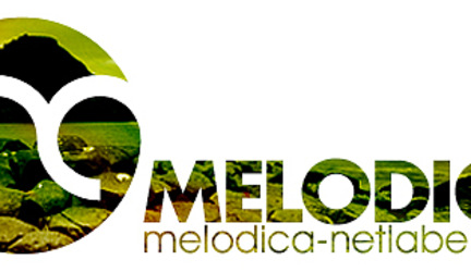 Nový label, nový člen - Melodica-netlabel
