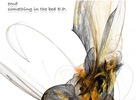 EMD – Something in the bed E.P.  (Sajgon Records)